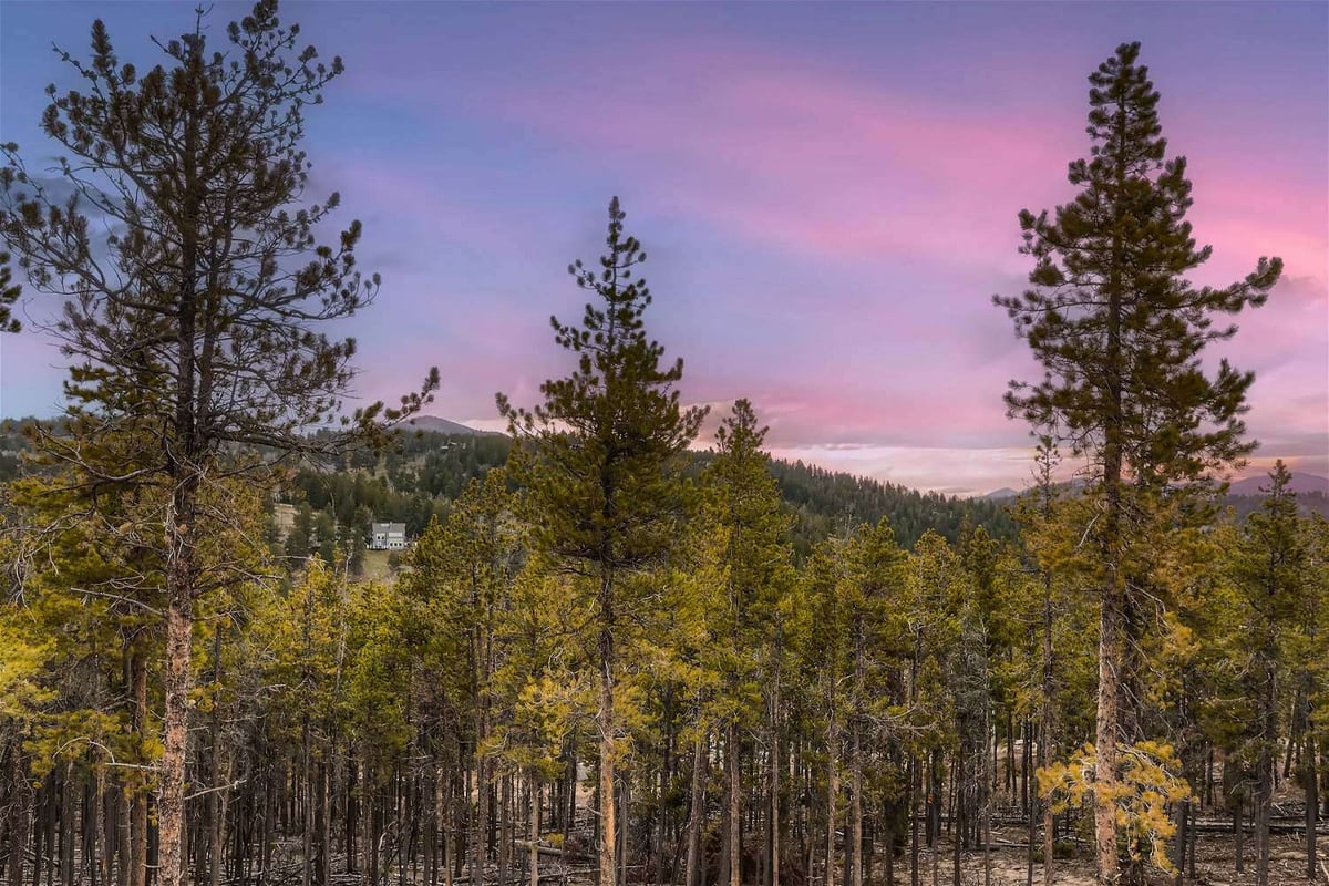 Expansive area with forested landscape and mountain views from a custom home project by Sheffield Homes in Evergreen, CO